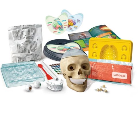 Clementoni Naukowa Zabawa Lab 50697 Zwariowana Anatomia