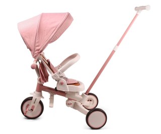 Milly Mally Rowerek Trójkołowy Zippy Pink
